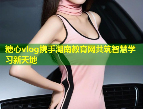 糖心vlog携手湖南教育网共筑智慧学习新天地
